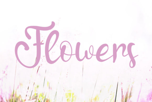 Nona Love Font Poster 2
