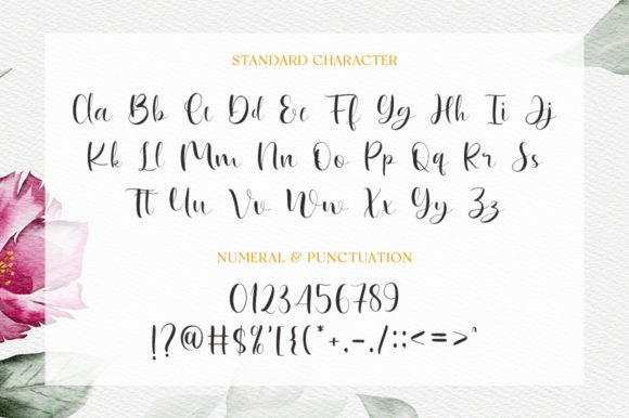 Nonavila Font Poster 9