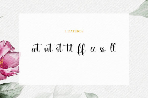 Nonavila Font Poster 10