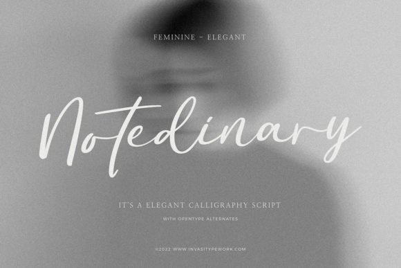 Notedinary Font Poster 1