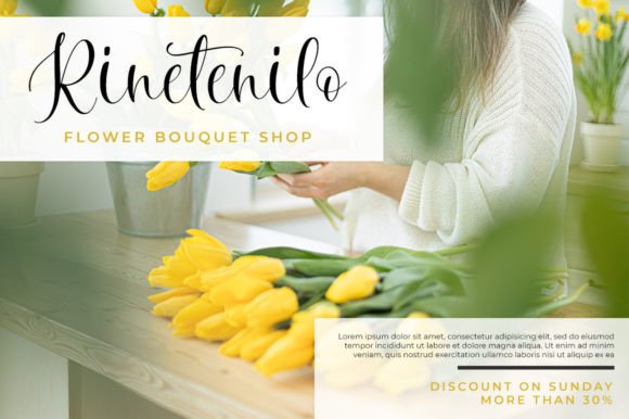 Nouveline Font Poster 3