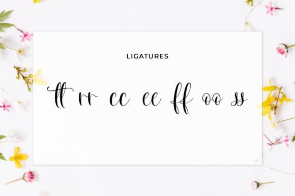 Nouveline Font Poster 10