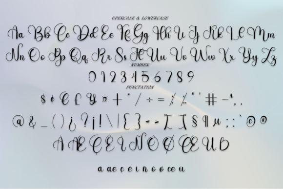 Nurse Font Poster 4
