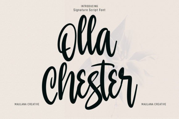 Olla Chester Font Poster 1