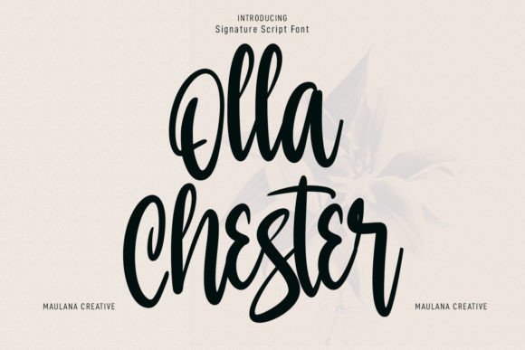 Olla Chester Font