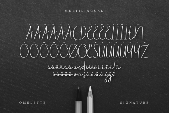 Omelette Font Poster 8