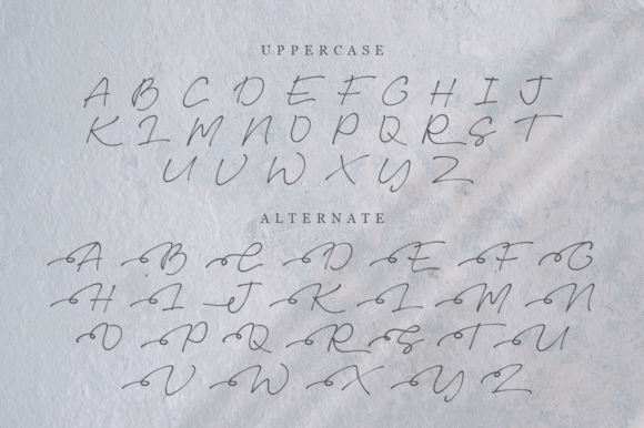 Omesse Font Poster 11