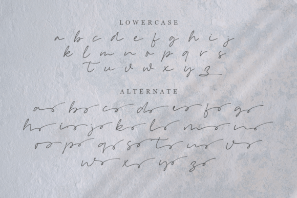 Omesse Font Poster 12