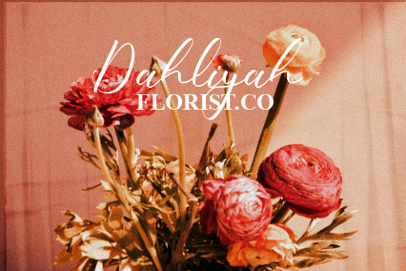 Ophelia Cassidy Font Poster 16
