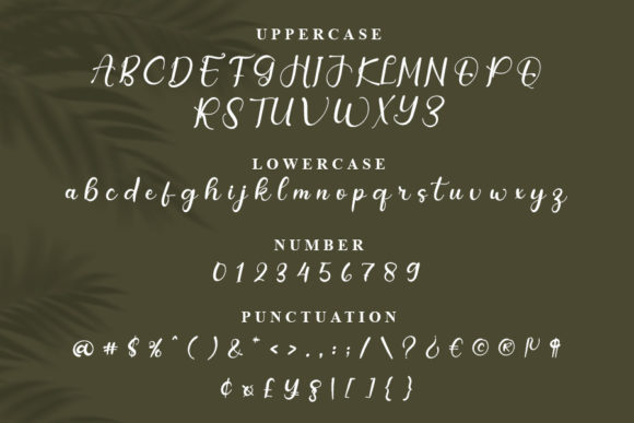 Opini Font Poster 6