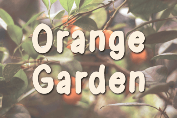 Orange Garden Font Poster 1