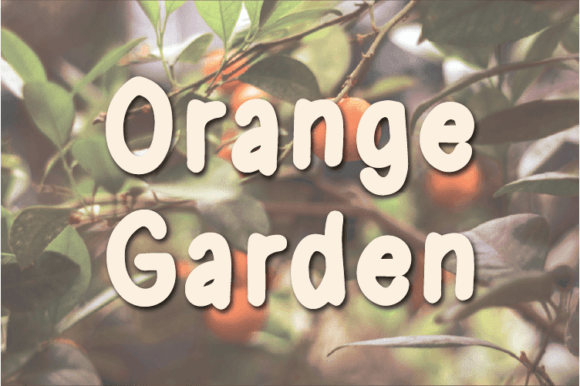 Orange Garden Font