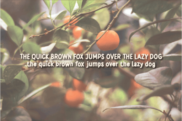 Orange Garden Font Poster 4