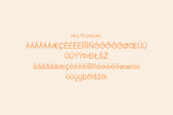 Orange Mango Font Poster 11