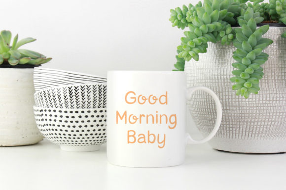 Orange Mango Font Poster 8