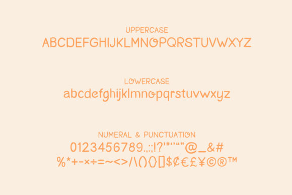Orange Mango Font Poster 10