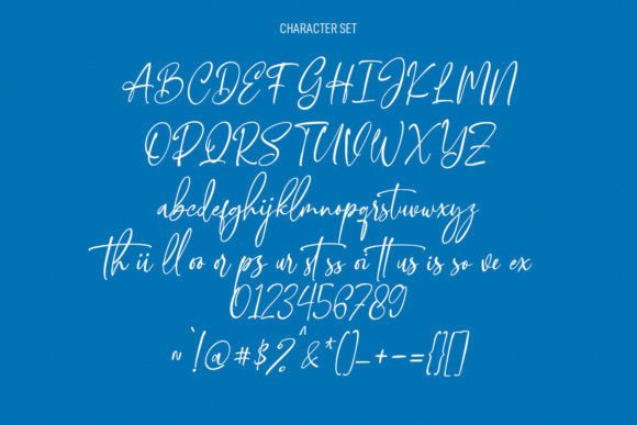 Orttisa Font Poster 8