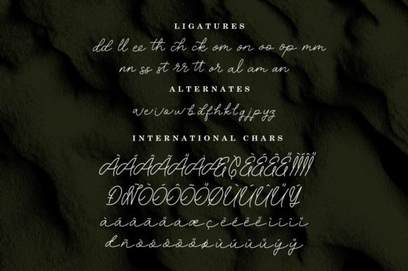Oryza Sativa Font Poster 9