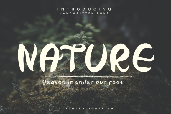 Our Nature Font Poster 1