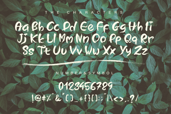 Our Nature Font Poster 3