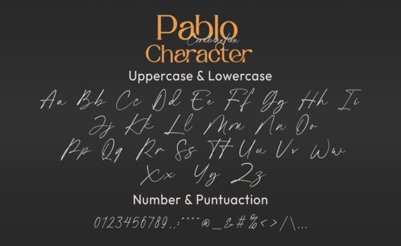Pablo Duo Font Poster 8