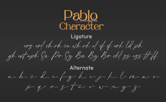 Pablo Duo Font Poster 9