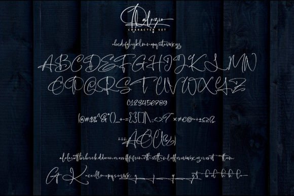 Palazio Font Poster 5