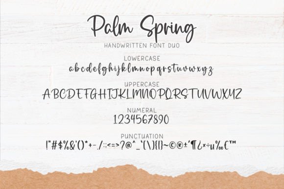 Palm Spring Font Poster 6