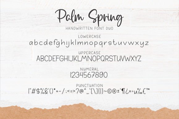 Palm Spring Font Poster 7
