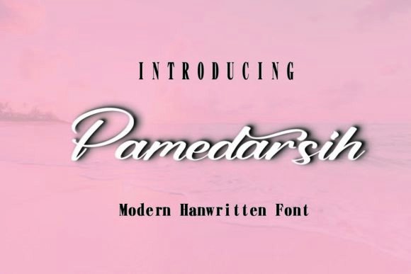 Pamedarsih Font Poster 1