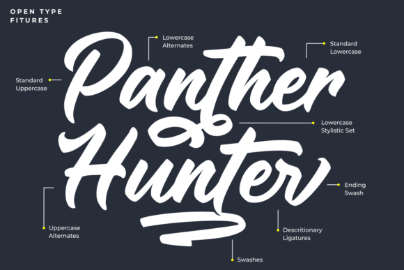 Panther Hunter Font Poster 2