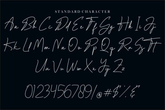 Paradigma Signature Font Poster 8