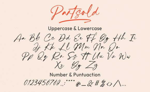 Partsold Font Poster 6