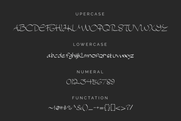 Patrick Winne Font Poster 10
