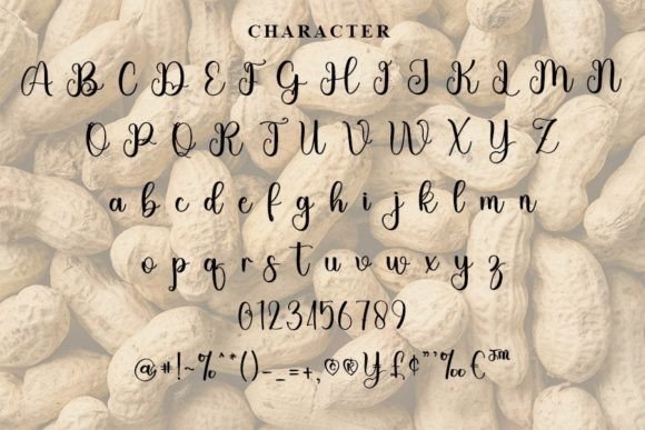 Peanut Font Poster 4