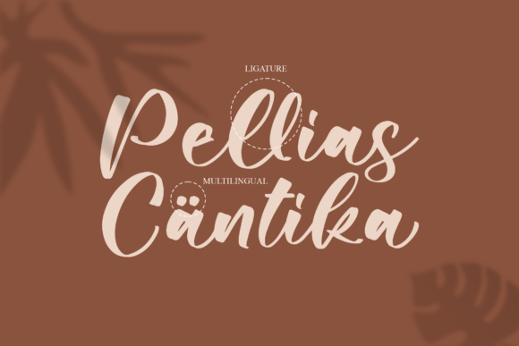 Pellias Cantika Font Poster 11