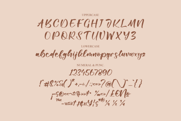 Pellias Cantika Font Poster 12