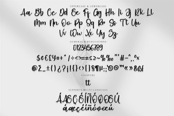 Peony Font Poster 6