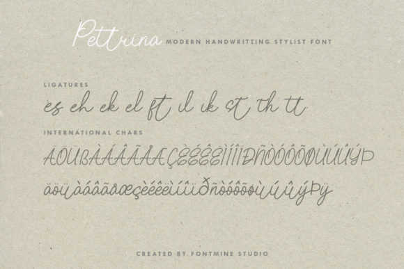 Pettrina Font Poster 11