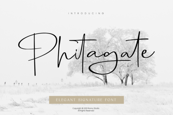 Phitagate Font Poster 1