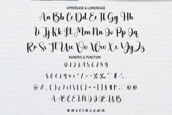 Photography Font Poster 7
