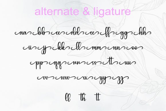 Photography Font Poster 5