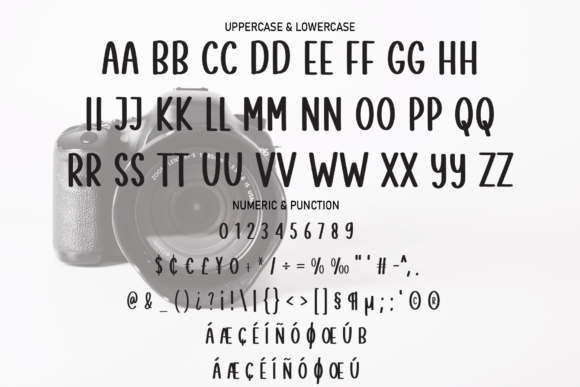 Photography Font Poster 7