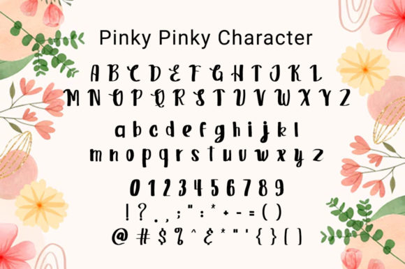 Pinky Pinky Font Poster 5