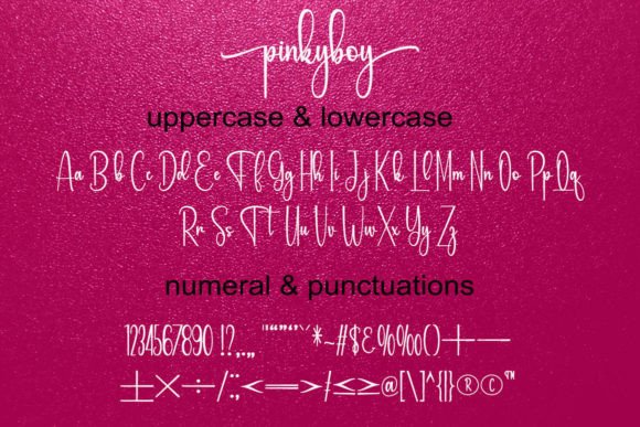 Pinkyboy Font Poster 5