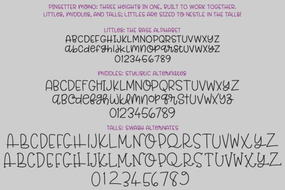 Pinsetter Mono Font Poster 2