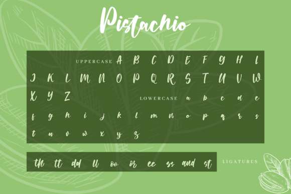 Pistachio Font Poster 9