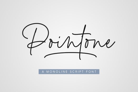 Pointone Font Poster 1