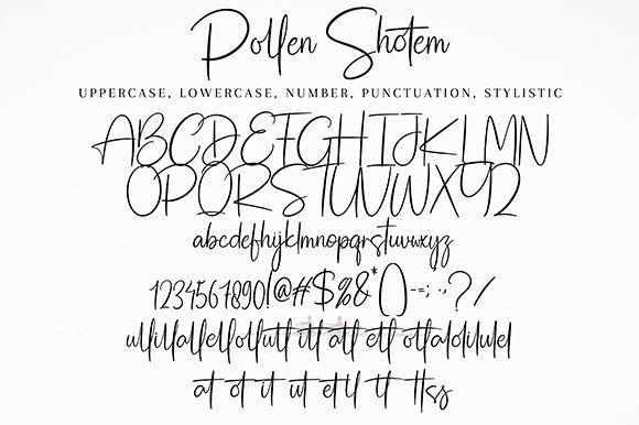 Pollen Shotem Font Poster 9