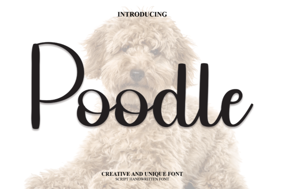 Poodle Font Poster 1